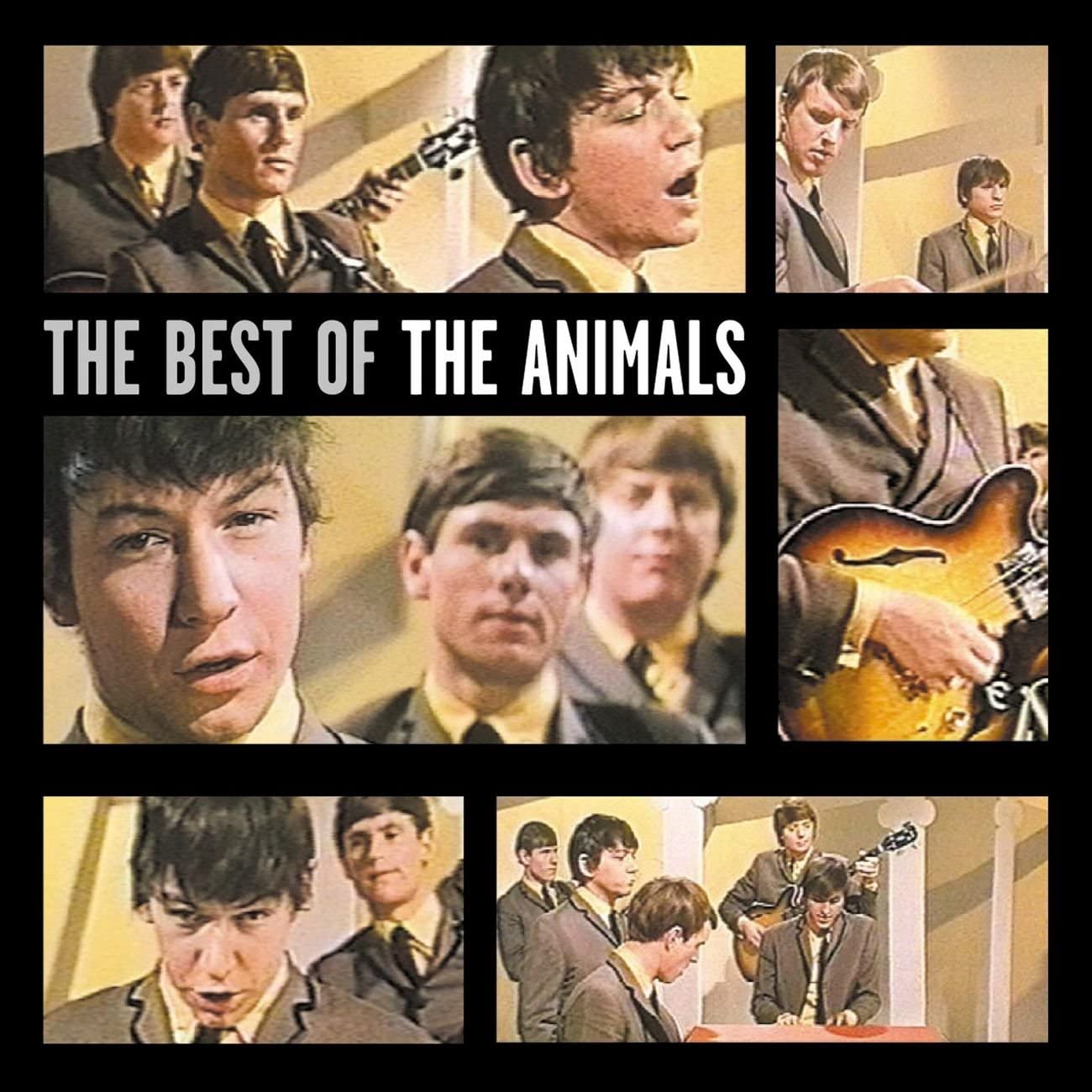 BEST OF THE ANIMALS